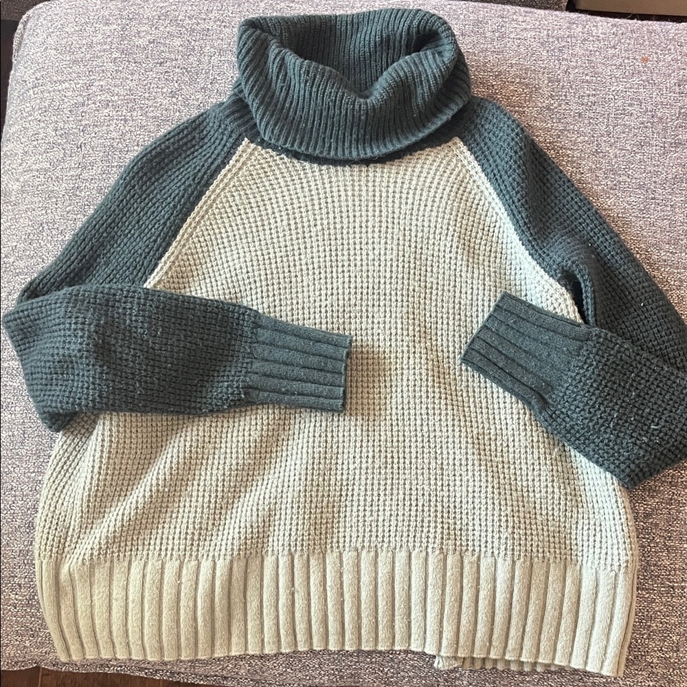 Madewell two toned Turtleneck Sweater